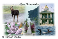 New Hampshire Collage #1